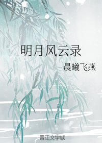 明月风云录