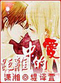 距离中的爱文